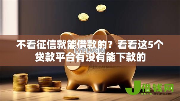 不看征信就能借款的？看看这5个贷款平台有没有能下款的