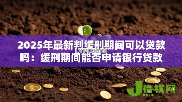 2025年最新判缓刑期间可以贷款吗：缓刑期间能否申请银行贷款
