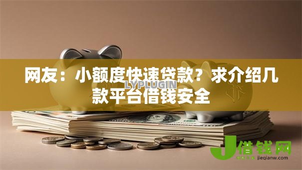网友：小额度快速贷款？求介绍几款平台借钱安全