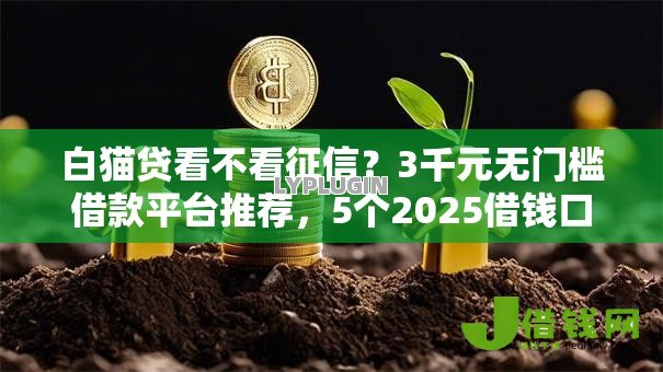 白猫贷看不看征信？3千元无门槛借款平台推荐，5个2025借钱口子必下款盘点