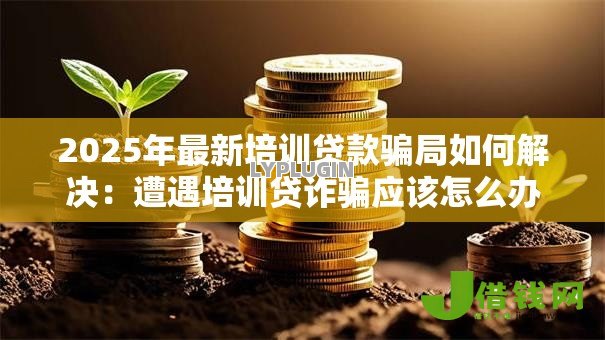 2025年最新培训贷款骗局如何解决：遭遇培训贷诈骗应该怎么办