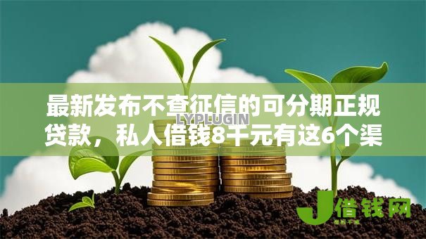 最新发布不查征信的可分期正规贷款,私人借钱8千元有这6个渠道 最新发布不查征信的可分期正规贷款,私人借钱8千元有这6个渠道
