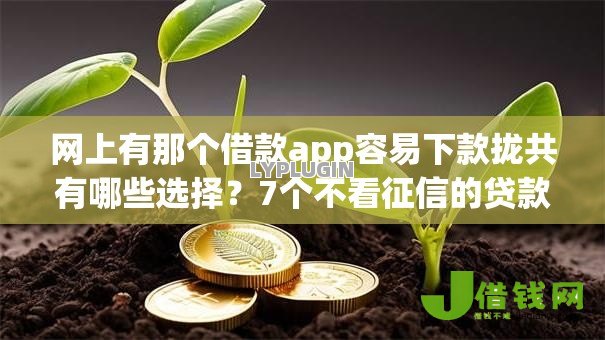 网上有那个借款app容易下款拢共有哪些选择?7个不看征信的贷款平台一定能下款详解 网上有那个借款app容易下款拢共有哪些选择?7个不看征信的贷款平台一定能下款详解