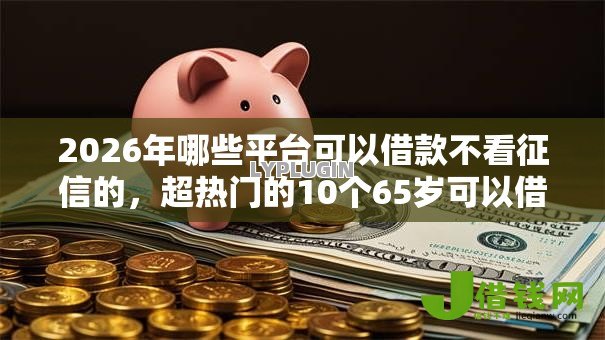 2026年哪些平台可以借款不看征信的，超热门的10个65岁可以借款的平台推荐
