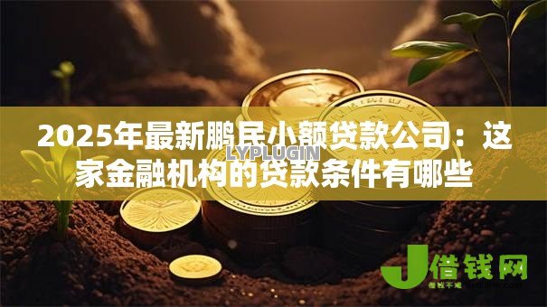 2025年最新鹏民小额贷款公司:这家金融机构的贷款条件有哪些 2025年最新鹏民小额贷款公司:这家金融机构的贷款条件有哪些