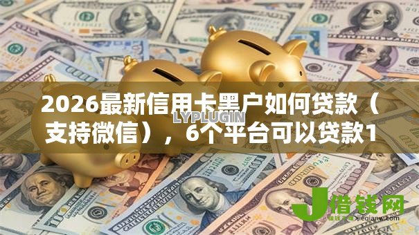 2026最新信用卡黑户如何贷款（支持微信），6个平台可以贷款10万无私分享