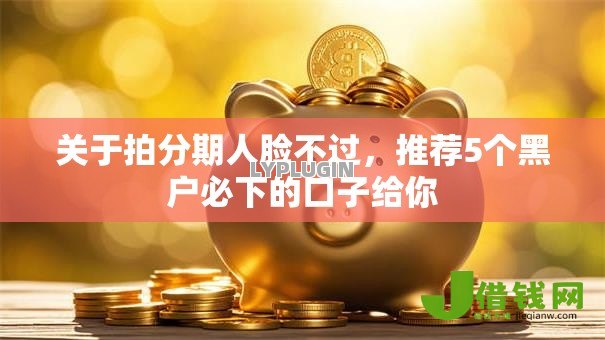 关于拍分期人脸不过，推荐5个黑户必下的口子给你