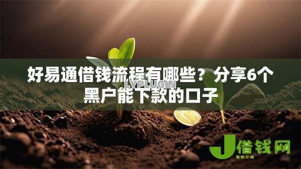 好易通借钱流程有哪些?分享6个黑户能下款的口子 好易通借钱流程有哪些?分享6个黑户能下款的口子
