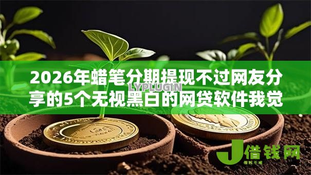 2026年蜡笔分期提现不过网友分享的5个无视黑白的网贷软件我觉得不错! 2026年蜡笔分期提现不过网友分享的5个无视黑白的网贷软件我觉得不错!