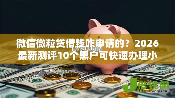 微信微粒贷借钱咋申请的？2026最新测评10个黑户可快速办理小额贷款业务的口子