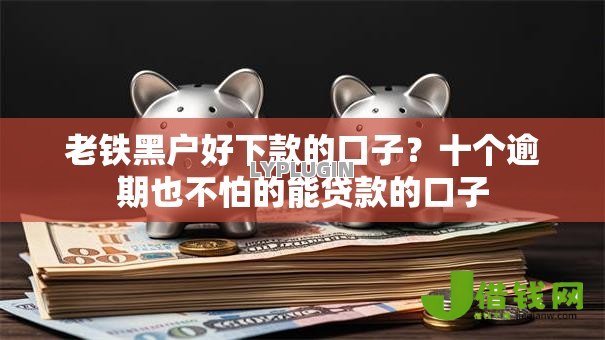 老铁黑户好下款的口子？十个逾期也不怕的能贷款的口子