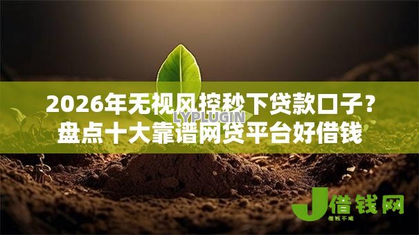 2026年无视风控秒下贷款口子？盘点十大靠谱网贷平台好借钱