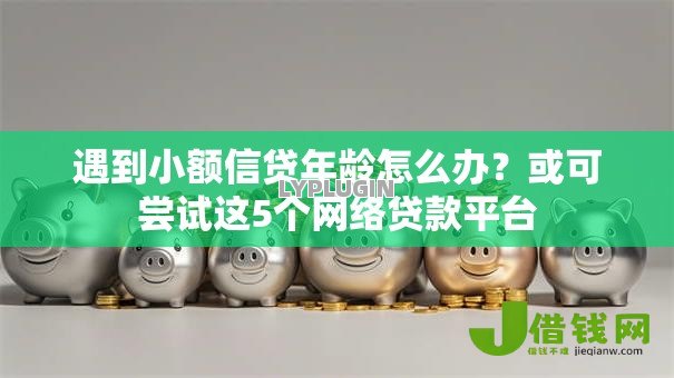 遇到小额信贷年龄怎么办？或可尝试这5个网络贷款平台