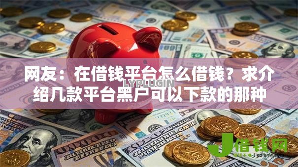网友：在借钱平台怎么借钱？求介绍几款平台黑户可以下款的那种