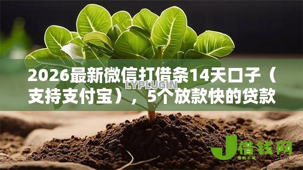 2026最新微信打借条14天口子（支持支付宝），5个放款快的贷款平台无私分享