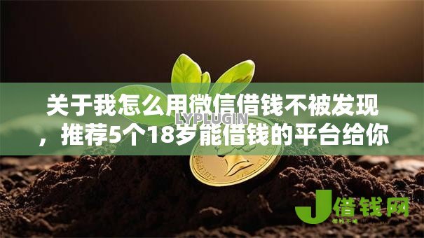 关于我怎么用微信借钱不被发现，推荐5个18岁能借钱的平台给你