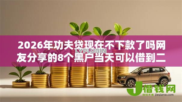 2026年功夫贷现在不下款了吗网友分享的8个黑户当天可以借到二万的平台我觉得不错！