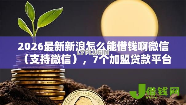2026最新新浪怎么能借钱啊微信（支持微信），7个加盟贷款平台做代理无私分享