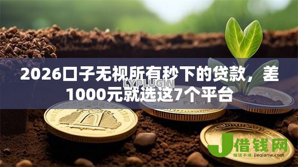 2026口子无视所有秒下的贷款，差1000元就选这7个平台