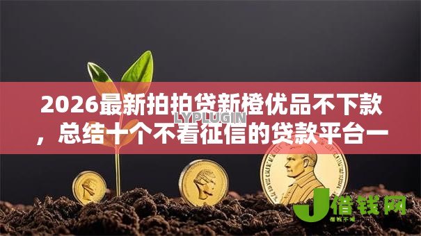 2026最新拍拍贷新橙优品不下款，总结十个不看征信的贷款平台一定能下款！