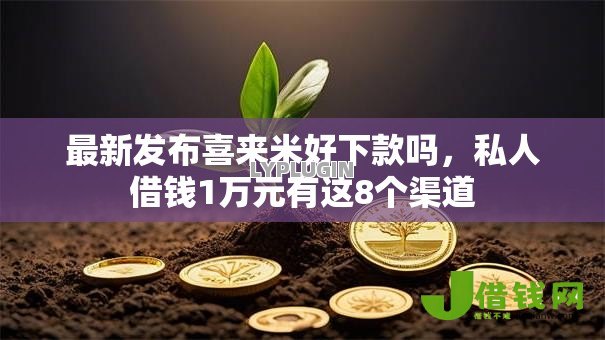 最新发布喜来米好下款吗，私人借钱1万元有这8个渠道