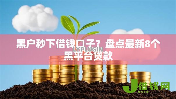黑户秒下借钱口子？盘点最新8个黑平台贷款