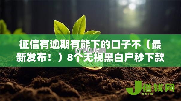 征信有逾期有能下的口子不（最新发布！）8个无视黑白户秒下款口子app