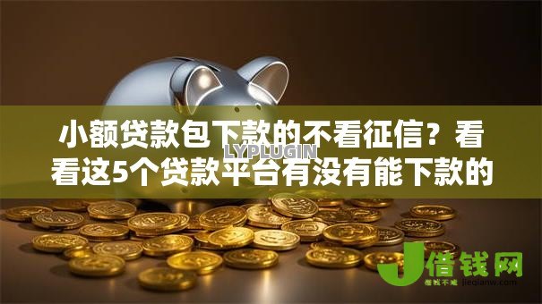 小额贷款包下款的不看征信？看看这5个贷款平台有没有能下款的