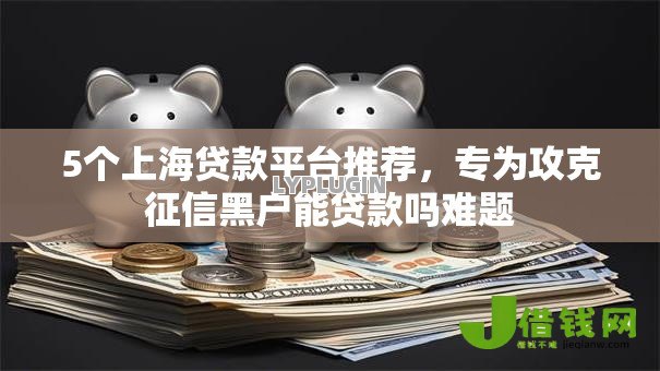 5个上海贷款平台推荐，专为攻克征信黑户能贷款吗难题