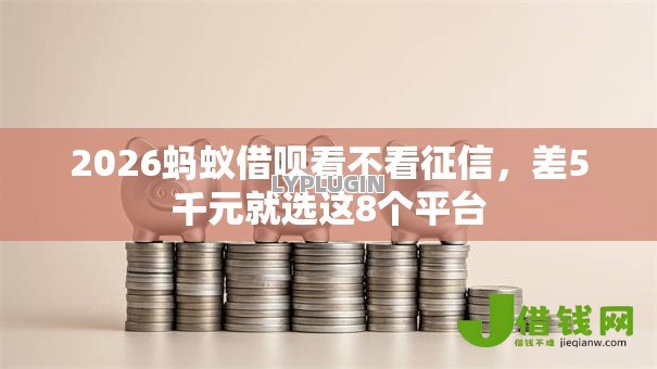 2026蚂蚁借呗看不看征信，差5千元就选这8个平台