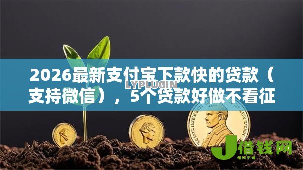2026最新支付宝下款快的贷款（支持微信），5个贷款好做不看征信的口子无私分享