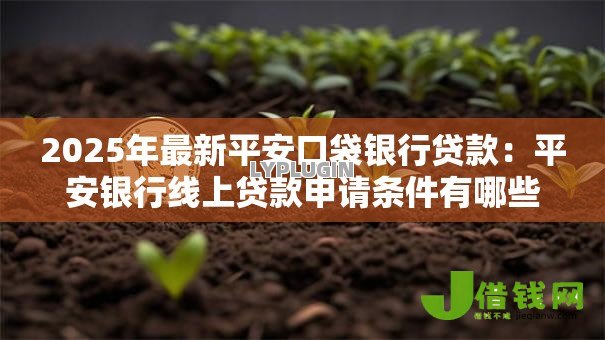 2025年最新平安口袋银行贷款：平安银行线上贷款申请条件有哪些