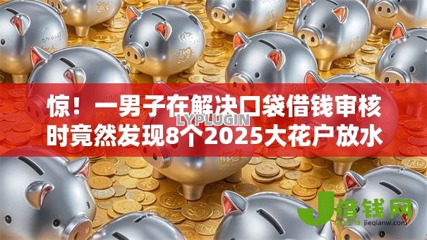 惊！一男子在解决口袋借钱审核时竟然发现8个2025大花户放水秒下款的口子，事后分享了出来