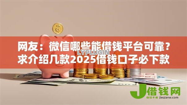 网友：微信哪些能借钱平台可靠？求介绍几款2025借钱口子必下款