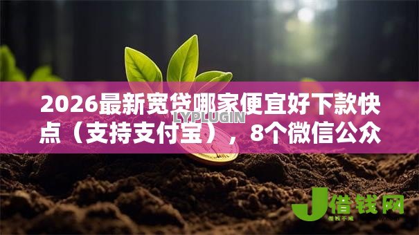 2026最新宽贷哪家便宜好下款快点（支持支付宝），8个微信公众号黑启平台还可以贷款无私分享
