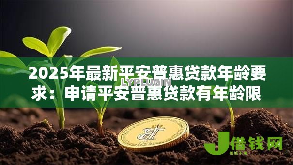 2025年最新平安普惠贷款年龄要求:申请平安普惠贷款有年龄限制吗 2025年最新平安普惠贷款年龄要求:申请平安普惠贷款有年龄限制吗