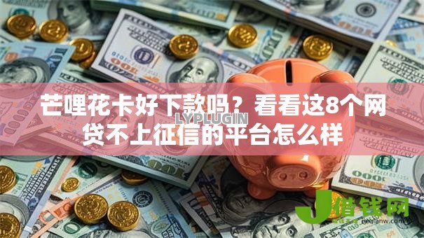 芒哩花卡好下款吗？看看这8个网贷不上征信的平台怎么样