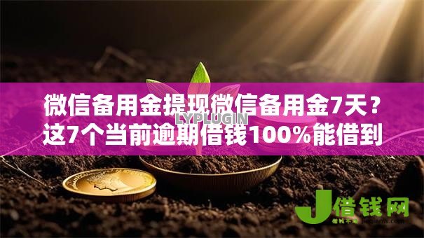 微信备用金提现微信备用金7天？这7个当前逾期借钱100%能借到平台值得一试
