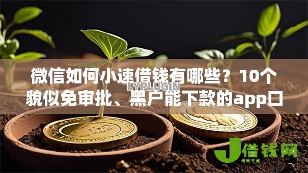 微信如何小速借钱有哪些？10个貌似免审批、黑户能下款的app口子合集