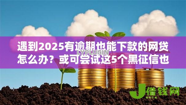 遇到2025有逾期也能下款的网贷怎么办？或可尝试这5个黑征信也能贷款的网贷口子