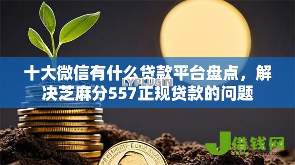 十大微信有什么贷款平台盘点,解决芝麻分557正规贷款的问题 十大微信有什么贷款平台盘点,解决芝麻分557正规贷款的问题