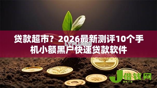贷款超市?2026最新测评10个手机小额黑户快速贷款软件 贷款超市?2026最新测评10个手机小额黑户快速贷款软件