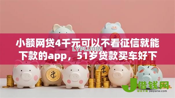 小额网贷4千元可以不看征信就能下款的app，51岁贷款买车好下款吗的5个平台介绍