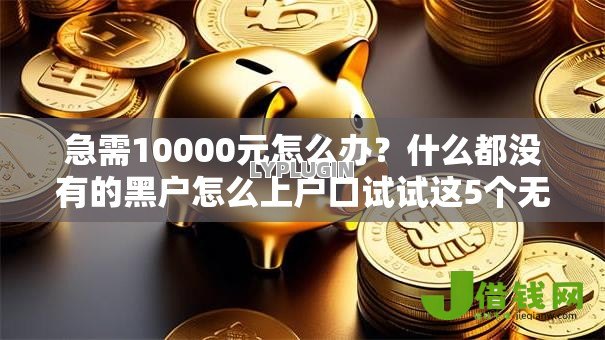 急需10000元怎么办？什么都没有的黑户怎么上户口试试这5个无门槛平台