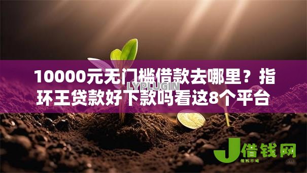 10000元无门槛借款去哪里？指环王贷款好下款吗看这8个平台