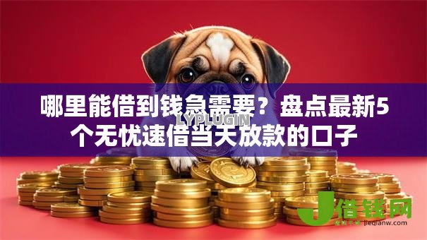 哪里能借到钱急需要？盘点最新5个无忧速借当天放款的口子