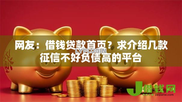 网友：借钱贷款首页？求介绍几款征信不好负债高的平台