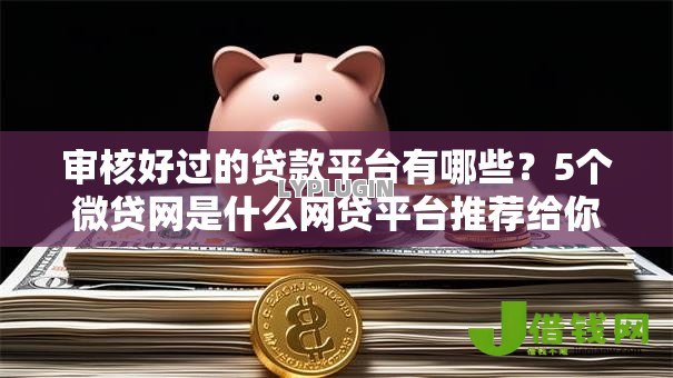 审核好过的贷款平台有哪些？5个微贷网是什么网贷平台推荐给你