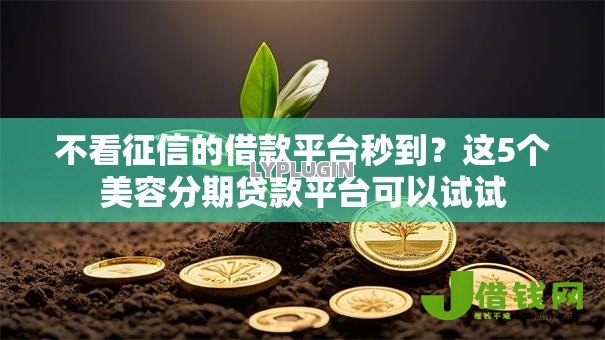 不看征信的借款平台秒到？这5个美容分期贷款平台可以试试