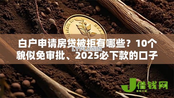 白户申请房贷被拒有哪些?10个貌似免审批、2025必下款的口子合集 白户申请房贷被拒有哪些?10个貌似免审批、2025必下款的口子合集
